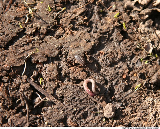 Various Soil