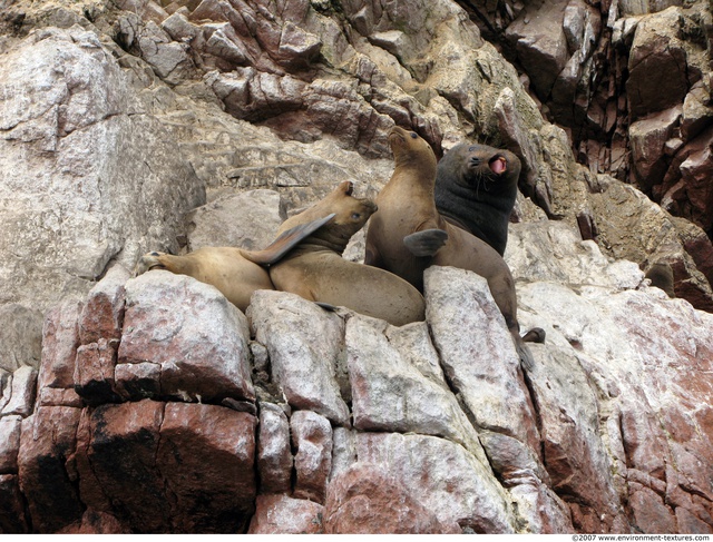 Peru