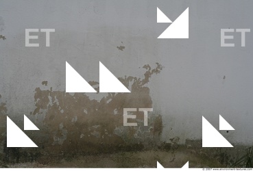 Walls Plaster Damaged