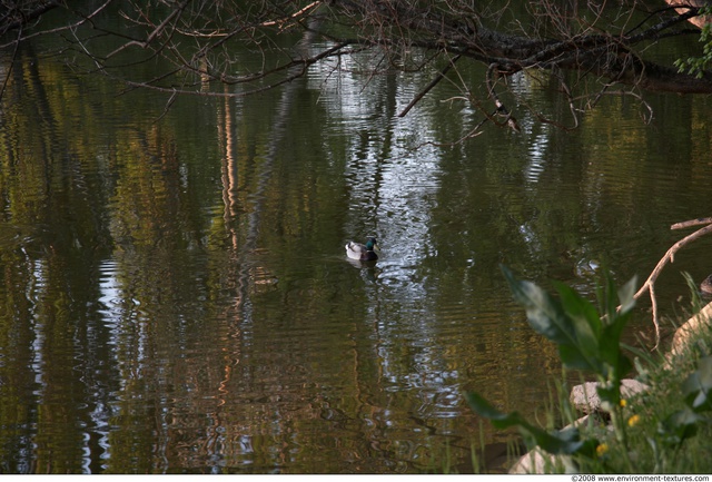 Various Water