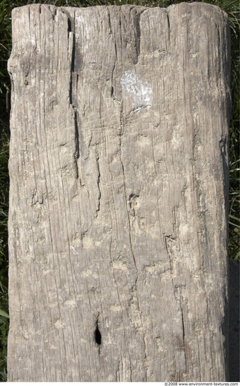 Rough Wood