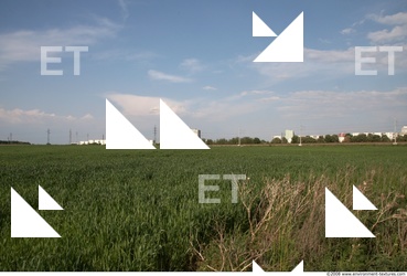 Background Nature 0002