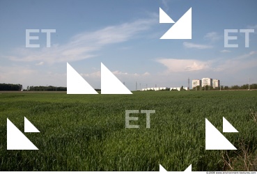 Background Nature 0003