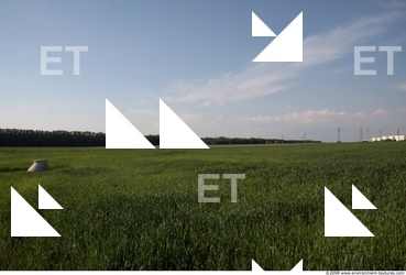 Background Nature 0004