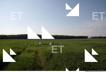 Background Nature 0005