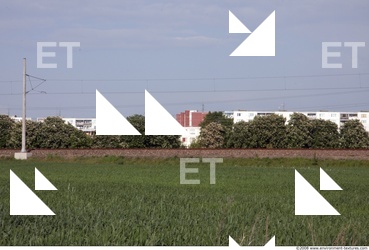 Background Nature 0011