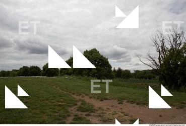 Background Nature 0019