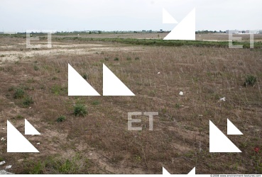 Background Nature 0013