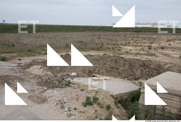 Background Nature 0014