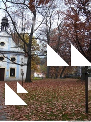 Background Garden 0071