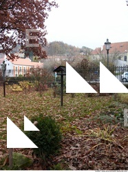 Background Garden 0069