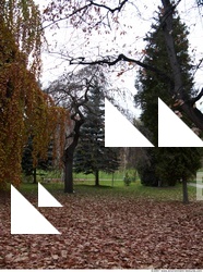 Background Garden 0108