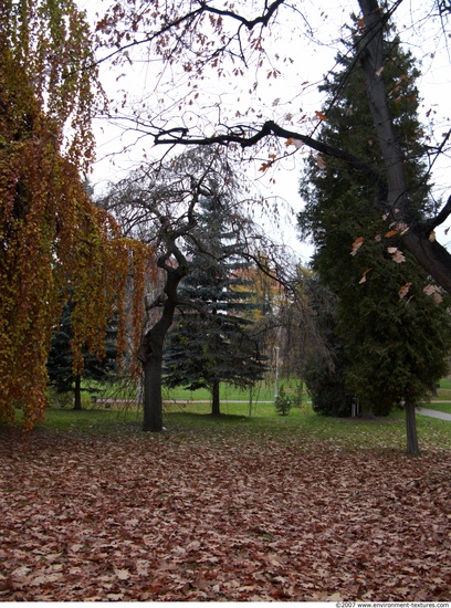 Background Gardens