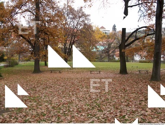 Background Garden 0042