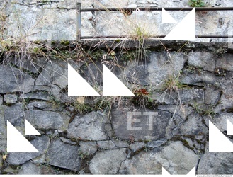 Various Walls Stones
