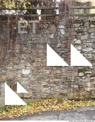 Overgrown Walls Stones