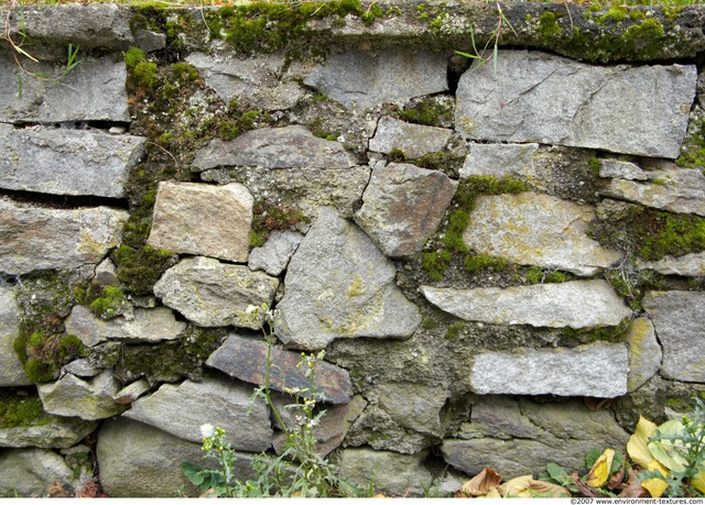 Overgrown Walls Stones