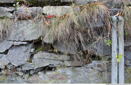 Overgrown Walls Stones