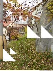 Background Garden 0041