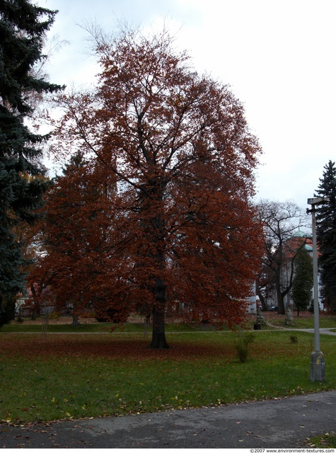 Background Gardens