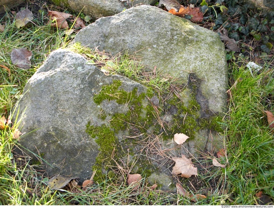 Mossy Rock