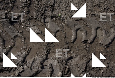 Soil Trace