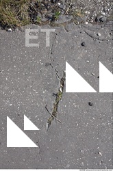Damaged Asphalt