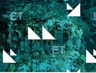 Photo Reference of Shipwreck