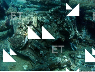 Photo Reference of Shipwreck