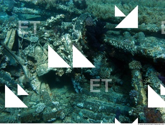 Photo Reference of Shipwreck