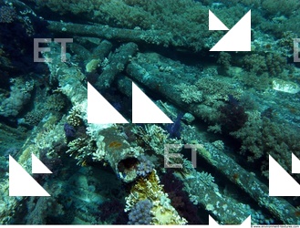 Photo Reference of Shipwreck