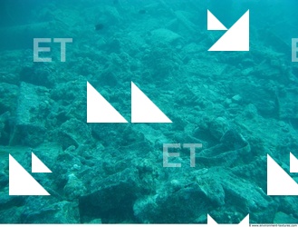 Photo Reference of Shipwreck