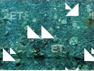 Photo Reference of Shipwreck