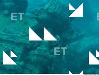 Photo Reference of Shipwreck