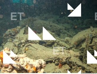 Photo Reference of Shipwreck