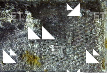 Photo Reference of Shipwreck