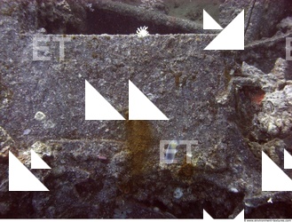 Photo Reference of Shipwreck