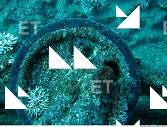 Photo Reference of Shipwreck