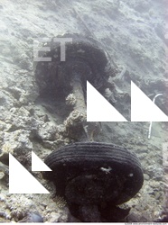 Photo Reference of Shipwreck