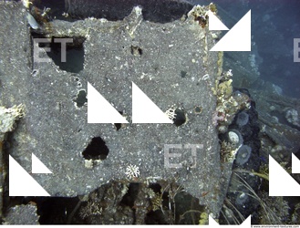 Photo Reference of Shipwreck