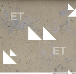 Walls Plaster Damaged