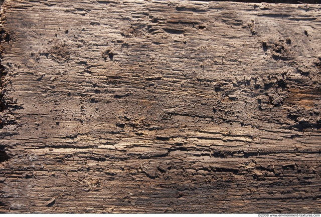 Rough Wood