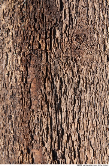 Rough Wood