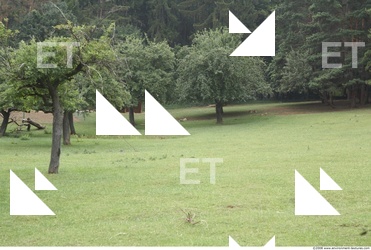 Background Garden 0001