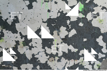 Walls Plaster Damaged