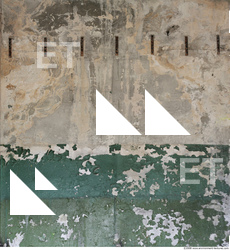 Walls Plaster Damaged