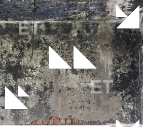 Walls Plaster Damaged