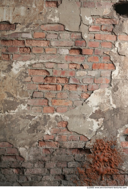 Wall Bricks Damaged