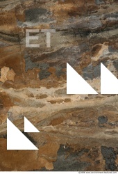 Wall Plaster Leaking