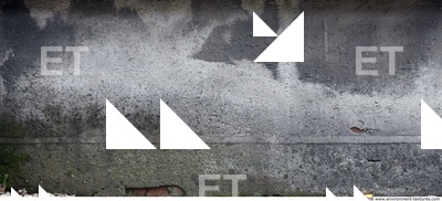 Wall Plaster Leaking